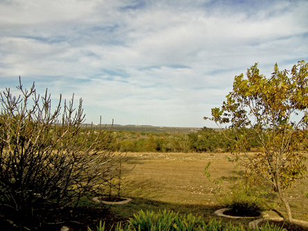 View from Ladell Wood's ranch