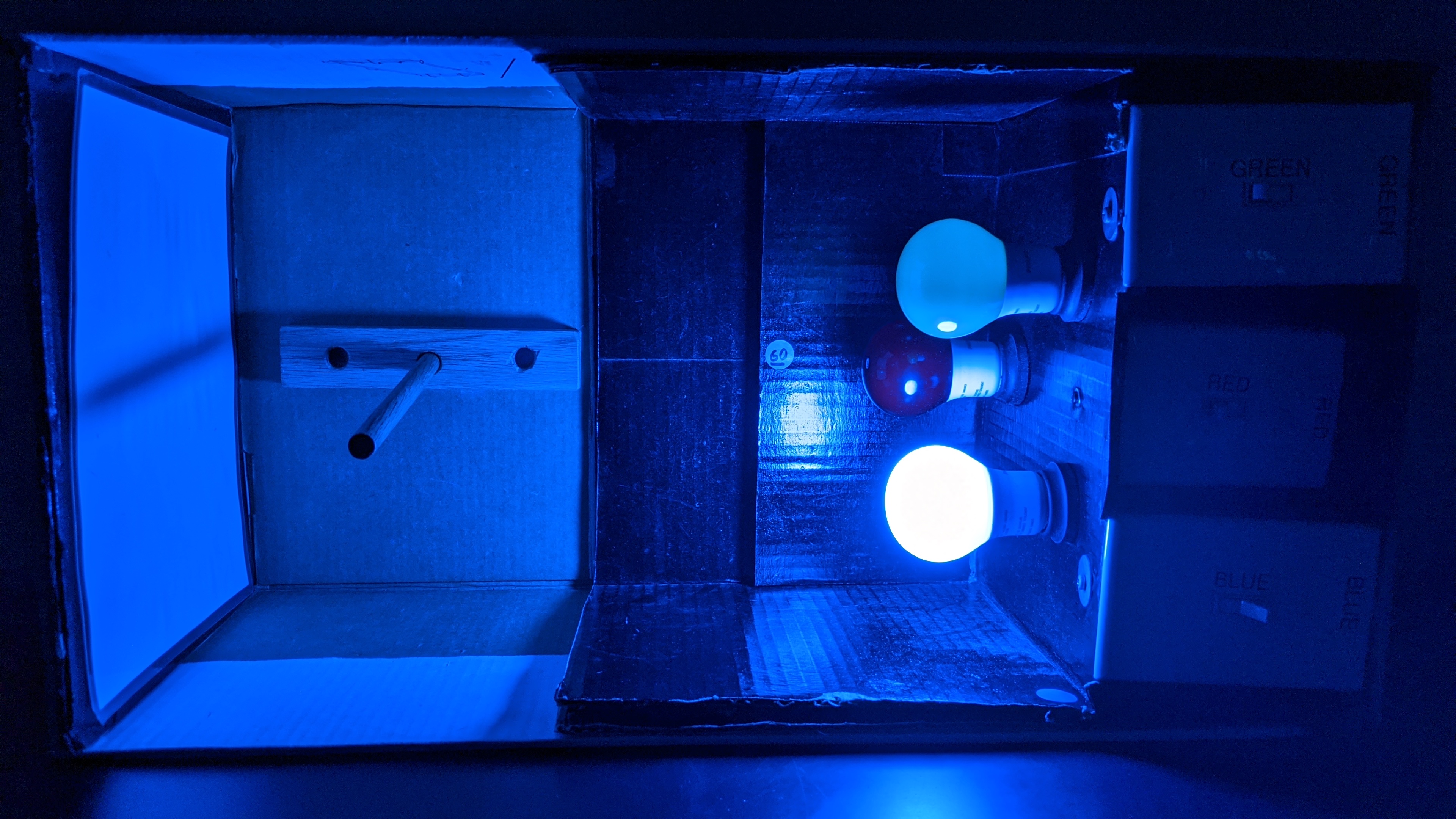 A box with red, green, and blue light bulbs, switches to turn each on or off individually, and a small post to cast a shadow