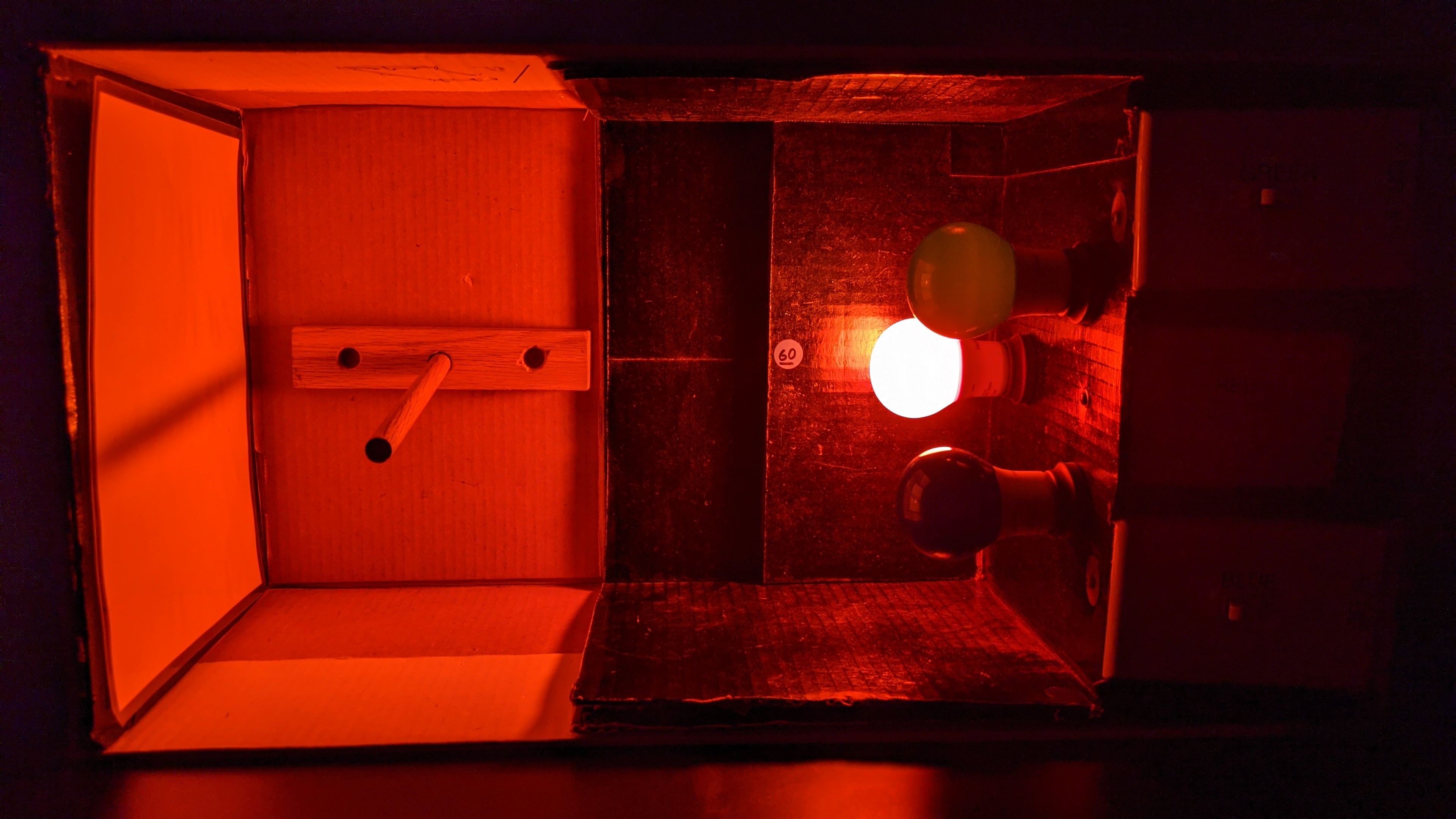 A box with red, green, and blue light bulbs, switches to turn each on or off individually, and a small post to cast a shadow