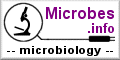 microbesinfo120.gif (2779 bytes)