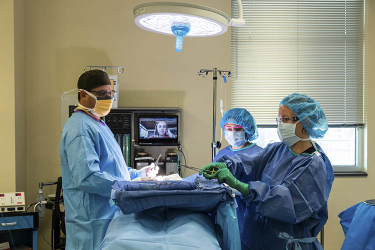 Students practice in a mock surgery operation.