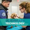 ACC Veterinary Technology Program